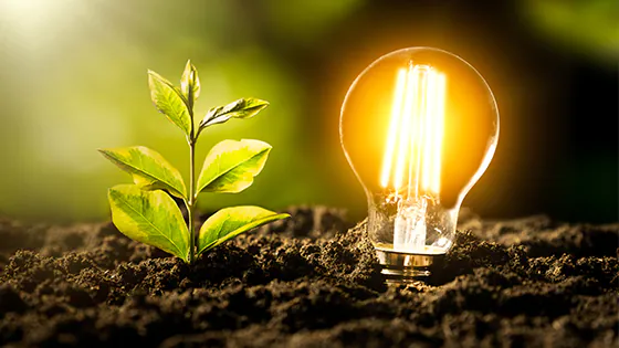 LED-Lampe neben einem Blatt